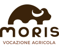 Moris